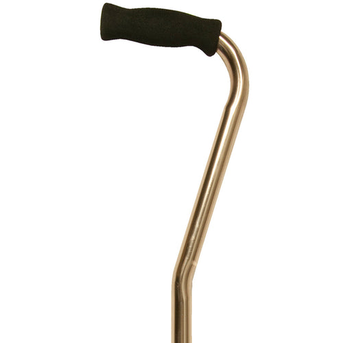 Brass Fritz Handle Collectors Cane
